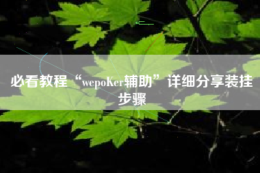 必看教程“wepoKer辅助”详细分享装挂步骤