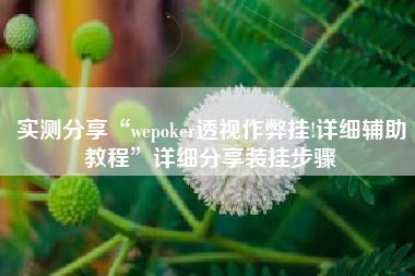 实测分享“wepoker透视作弊挂!详细辅助教程	”详细分享装挂步骤