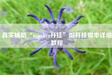 真实辅助“wepoker开挂	”附开挂脚本详细教程