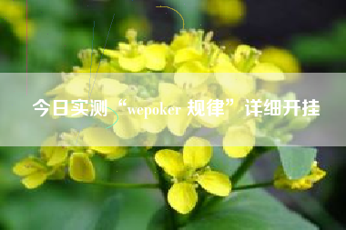 今日实测“wepoker 规律”详细开挂