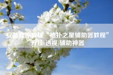 安装程序教程“德扑之星辅助器教程”开挂(透视)辅助神器