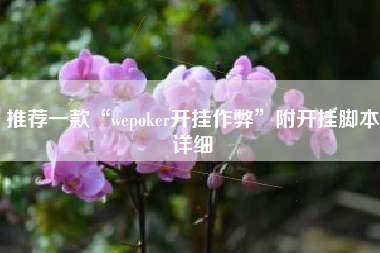 推荐一款“wepoker开挂作弊”附开挂脚本详细