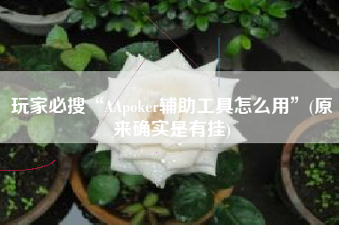 玩家必搜“AApoker辅助工具怎么用”(原来确实是有挂)