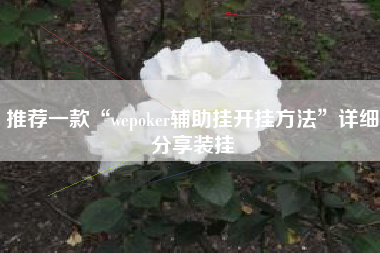 推荐一款“wepoker辅助挂开挂方法	”详细分享装挂