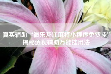 真实辅助“微乐龙江麻将小程序免费挂”揭秘透视辅助万能挂用法