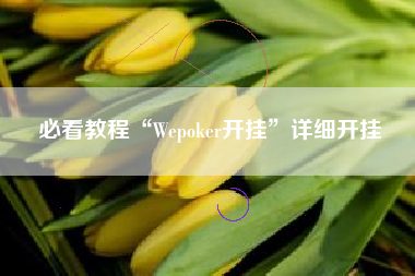 必看教程“Wepoker开挂”详细开挂