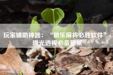 玩家辅助神器：“微乐麻将必胜软件	”(曝光透视必备猫腻