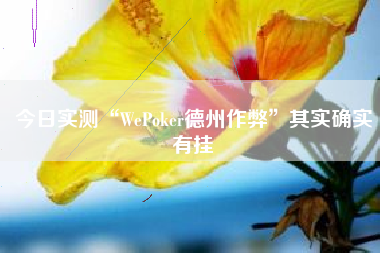今日实测“WePoker德州作弊”其实确实有挂