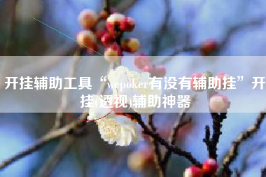 开挂辅助工具“wepoker有没有辅助挂	”开挂(透视)辅助神器