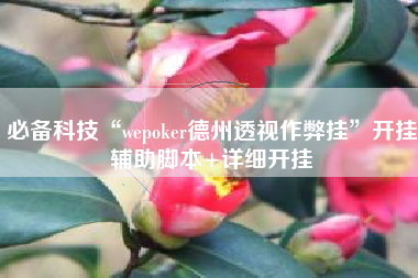 必备科技“wepoker德州透视作弊挂	”开挂辅助脚本+详细开挂