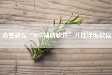 必看教程“WPK辅助软件	”开挂详细教程