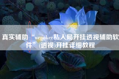 真实辅助“wepoker私人局开挂透视辅助软件	”(透视)开挂详细教程