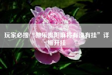 玩家必搜“微乐贵阳麻将有没有挂”详细开挂