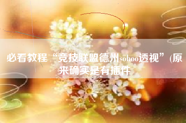 必看教程“竞技联盟德州sohoo透视”(原来确实是有插件
