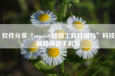 软件分享“wepoker辅助工具好用吗”科技辅助神器手机版