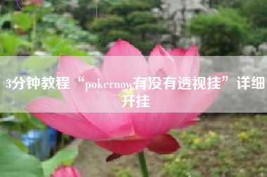 3分钟教程“pokernow有没有透视挂	”详细开挂