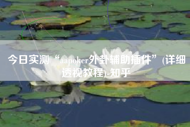 今日实测“aapoker外卦辅助插件”(详细透视教程)-知乎