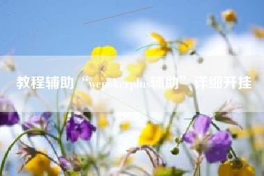 教程辅助“wepokerplus辅助”详细开挂