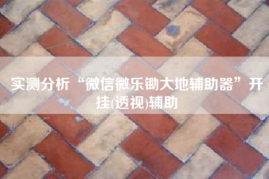 实测分析“微信微乐锄大地辅助器”开挂(透视)辅助