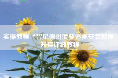 实操教程“智星德州菠萝透视安装教程”开挂详细教程