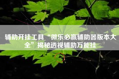 辅助开挂工具“微乐必赢辅助器版本大全	”揭秘透视辅助万能挂