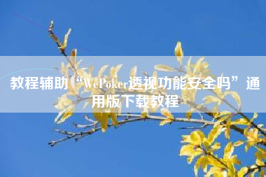 教程辅助“WePoker透视功能安全吗”通用版下载教程