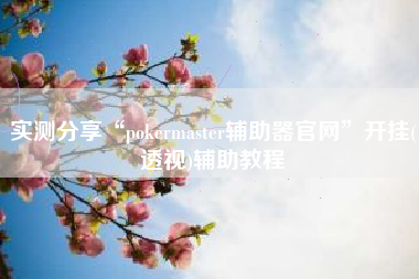 实测分享“pokermaster辅助器官网”开挂(透视)辅助教程
