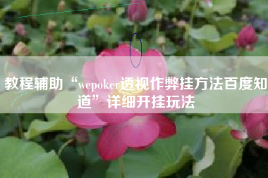 教程辅助“wepoker透视作弊挂方法百度知道”详细开挂玩法