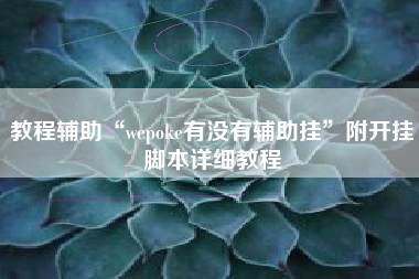 教程辅助“wepoke有没有辅助挂”附开挂脚本详细教程