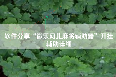 软件分享“微乐河北麻将辅助器”开挂辅助详细