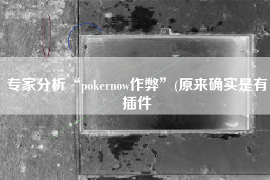 专家分析“pokernow作弊”(原来确实是有插件