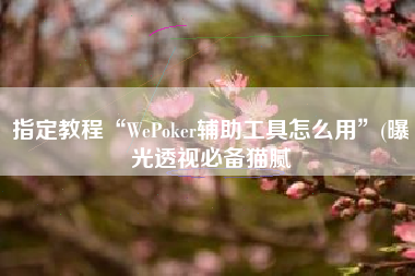 指定教程“WePoker辅助工具怎么用”(曝光透视必备猫腻