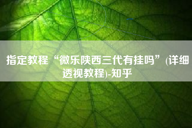 指定教程“微乐陕西三代有挂吗”(详细透视教程)-知乎