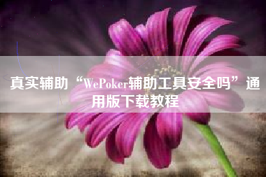 真实辅助“WePoker辅助工具安全吗”通用版下载教程