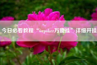 今日必看教程“wepoker万能挂”详细开挂