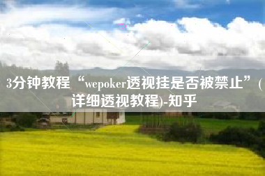3分钟教程“wepoker透视挂是否被禁止	”(详细透视教程)-知乎
