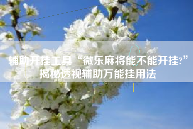 辅助开挂工具“微乐麻将能不能开挂?	”揭秘透视辅助万能挂用法