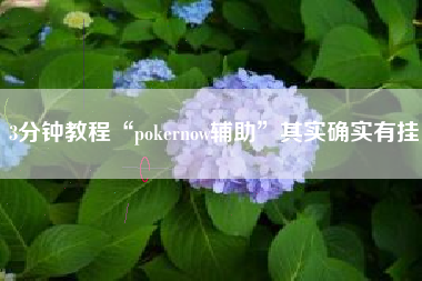 3分钟教程“pokernow辅助	”其实确实有挂