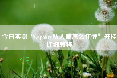 今日实测“wepoker私人局怎么作弊”开挂详细教程