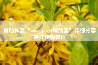 辅助神器“sohoo poker辅助器	”详细分享装挂步骤教程