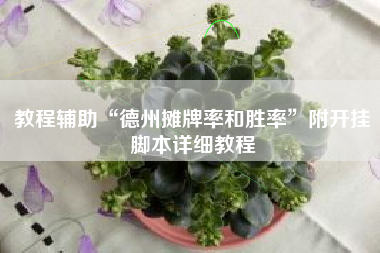 教程辅助“德州摊牌率和胜率”附开挂脚本详细教程