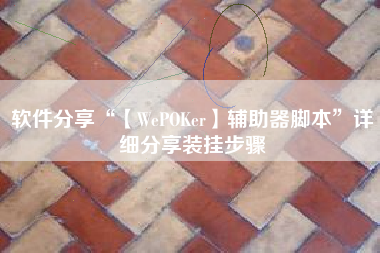 软件分享“【WePOKer】辅助器脚本	”详细分享装挂步骤