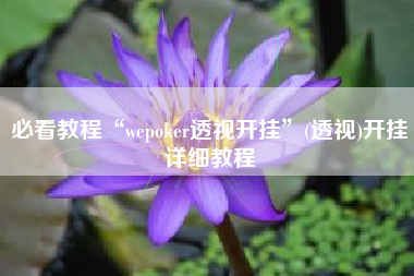 必看教程“wepoker透视开挂”(透视)开挂详细教程