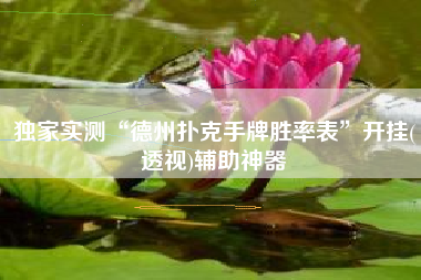 独家实测“德州扑克手牌胜率表”开挂(透视)辅助神器