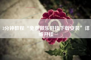 3分钟教程“免费微乐开挂下载安装”详细开挂