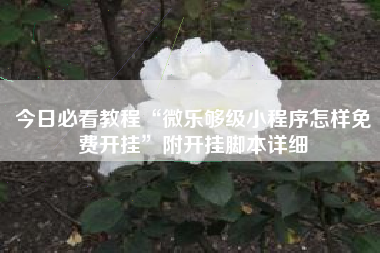 今日必看教程“微乐够级小程序怎样免费开挂”附开挂脚本详细
