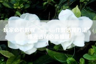 玩家必看教程“wepoker作弊透视方法	”(曝光透视必备猫腻