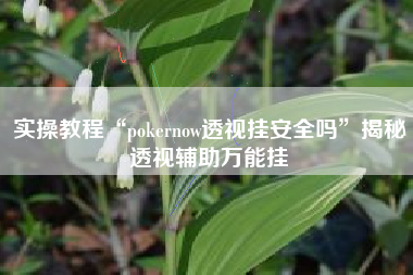 实操教程“pokernow透视挂安全吗”揭秘透视辅助万能挂