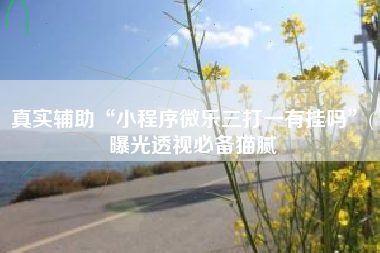 真实辅助“小程序微乐三打一有挂吗	”(曝光透视必备猫腻