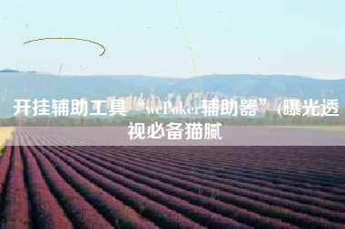 开挂辅助工具“wePoker辅助器	”(曝光透视必备猫腻